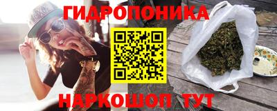 эйфоретик Шелехов