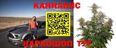 прущая мука Шебекино
