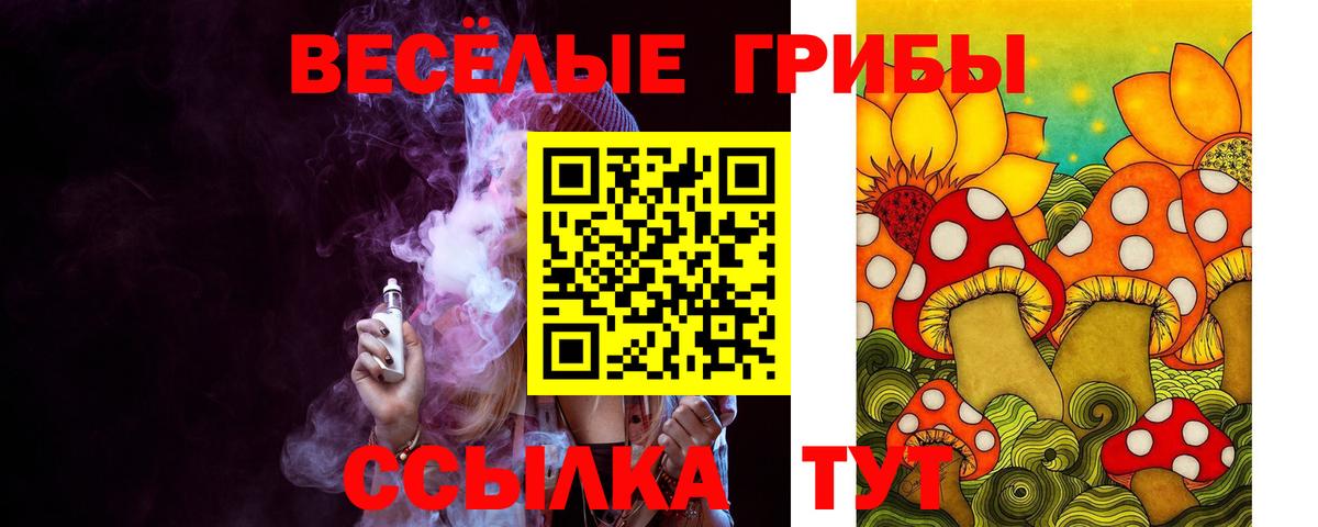 Галлюциногенные грибы мухоморы  Вход с VPN  Краснознаменск 